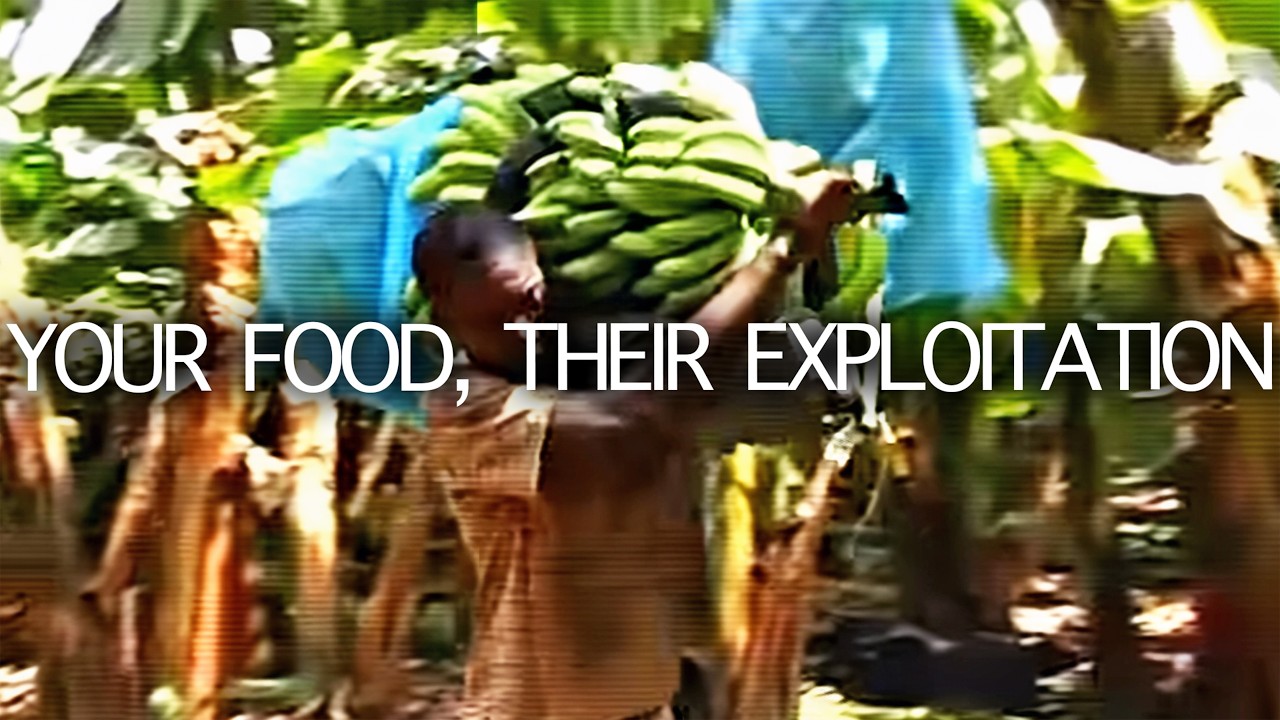 The True Cost of Cheap Food | Seed Documentary