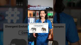 Evolution Humans and Dolphins #evolution #biology #Bible