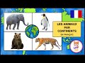 Les animaux par continents  les noms et bruits pour les enfants