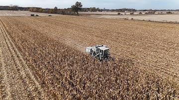 Gleaner M3. My neighbor picking corn 🌽. Lots of drone video.