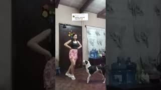 Panda My Favorite Dance Partner