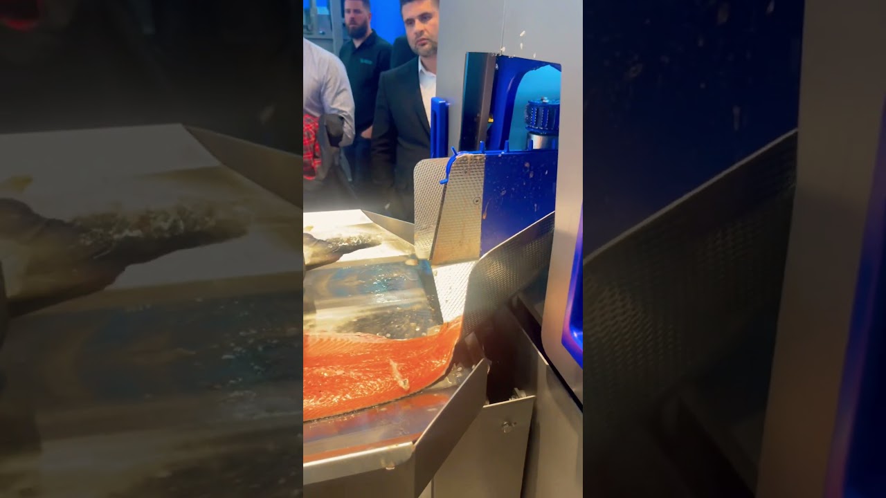 Salmon filleting machine