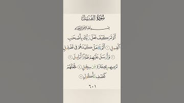 سورة الفيل تلاوة رائعة بصوت القارئ #فارس عباد #