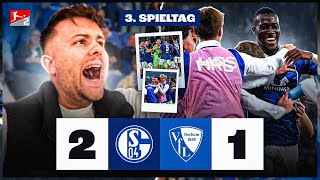 Download Lagu SIEG im LOKAL DERBY 😍 LASME Fußball Gott 🚀 Schalke 04 vs VfL Bochum STADION VLOG 🏟 MP3 Download Lagu SIEG im LOKAL DERBY 😍 LASME Fußball Gott 🚀 Schalke 04 vs VfL Bochum STADION VLOG 🏟 MP3