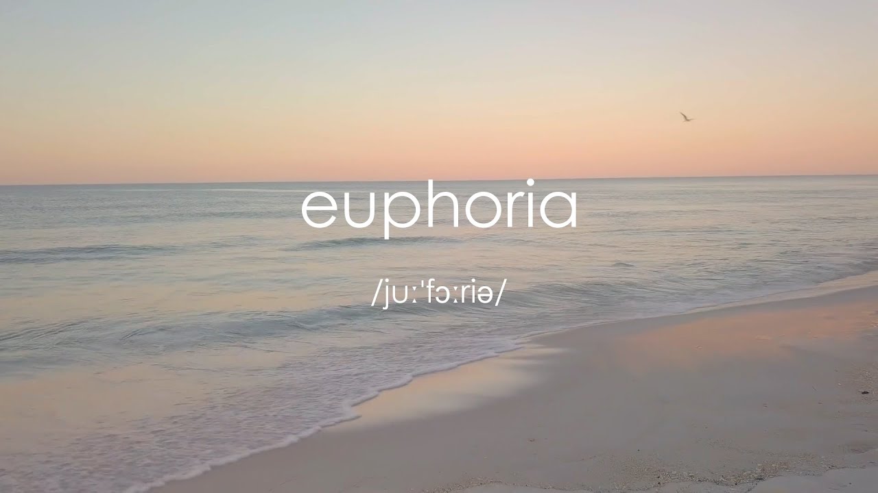 Euphoria Arti Pengucapan Contoh Kalimat Vocabulary Word Of The Week 4 Youtube