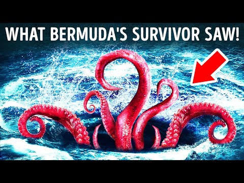 Shipwrecks and Sea Monsters: Unveiling Bermuda Triangle's Enigma!