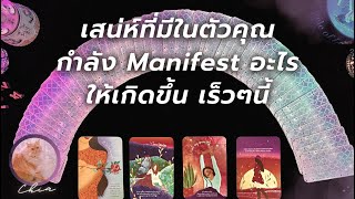 Pick a card เสน่ห์ในตัวคุณ กำลังManifest สิ่งใด