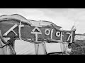사주_동강의언덕 라이브 방송