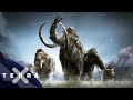 Soll man Mammuts und Neandertaler klonen?