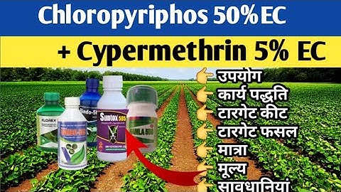 Chloropyriphos 50% EC + Cypermethrin 5% EC Use in Hindi | Dose Of Chloropyriphos |