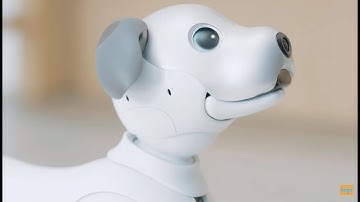 Sony’s Aibo Robot Dog | 2020 |  Aibo |Learn New Tricks Directly From the Owner
