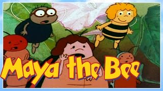 Maya the bee - Episode 16 - The Beetle - Classic Series