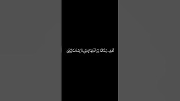 #القران_الكريم #سوره_النساء #ياسرالدوسري #كرومات الآيه 35
