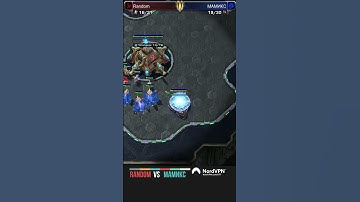 Sit inside nuggets - LAGTV SC2 Short