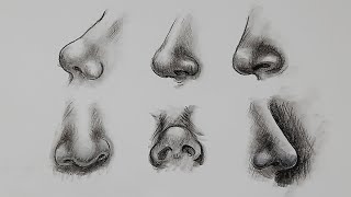 different types of nose drawings