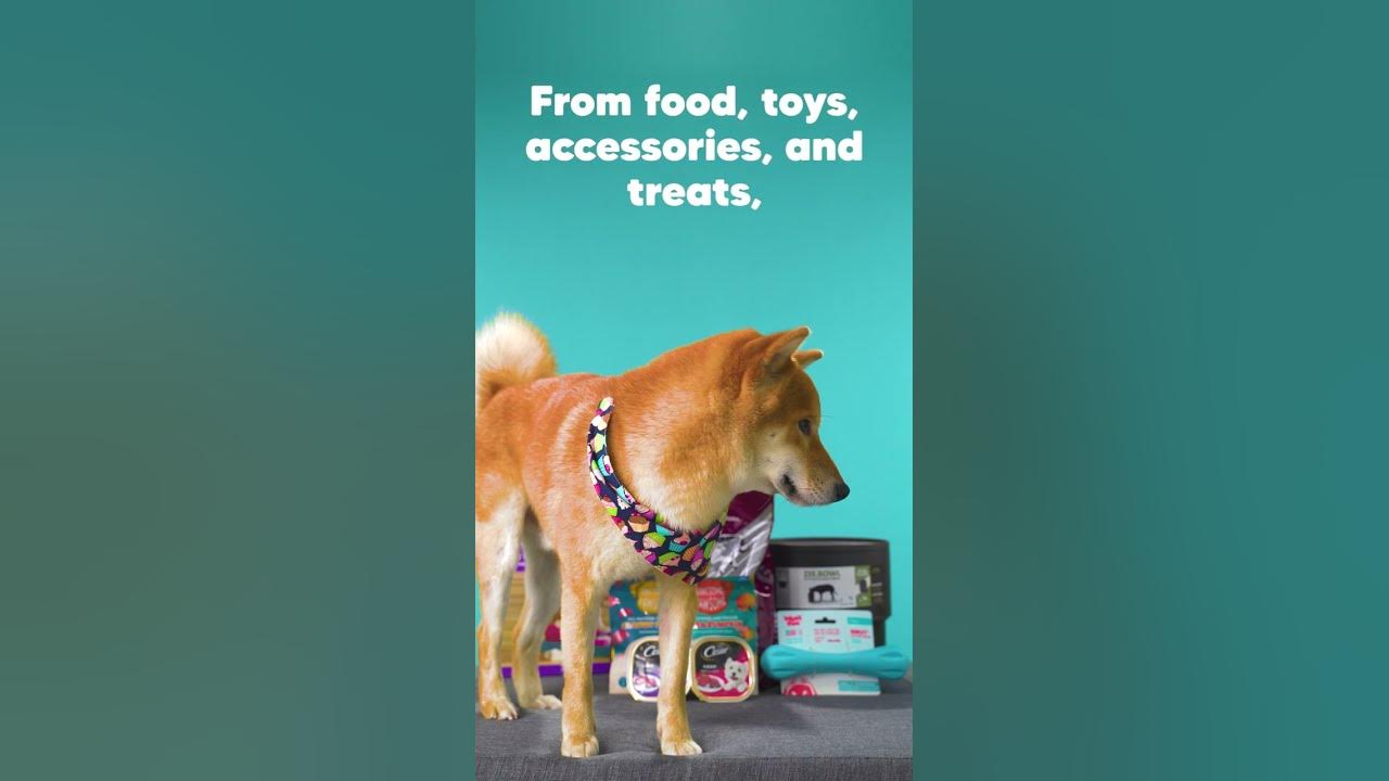 Order 24/7 at Pet Warehouse! YouTube