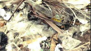 Lampung Ekstra Fresh Lampung Xfresh