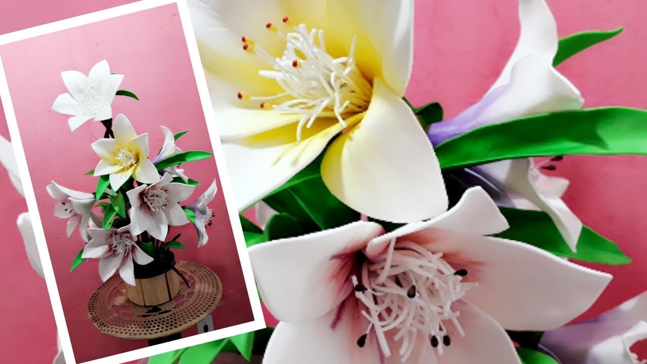 LÍRIOS SEM FRISADOR, PARA INICIANTES