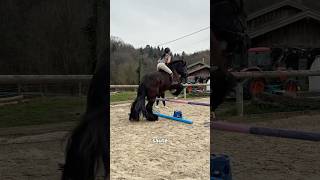 Séance de saut à cru 😅 #cheval #chevaldetrait #equitation #obstacles