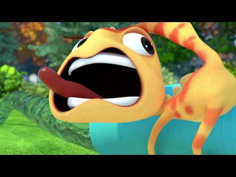 3. Cam a Leon: hadica