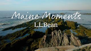Maine Moment | Jewell Island Waves | One Hour Seaside Ambience & Wave Sounds