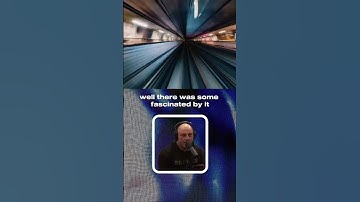 Joe Rogan scared of AI. #ai #artificialintelligence #chatgpt #openai #brainbot #future