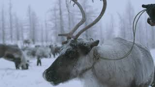 Miss Eco International Finland 2020 tourism video