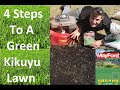 How to scarify, top dress, and overseed a Kikuyu lawn. 4 steps to a healthy green Kikuyu lawn.