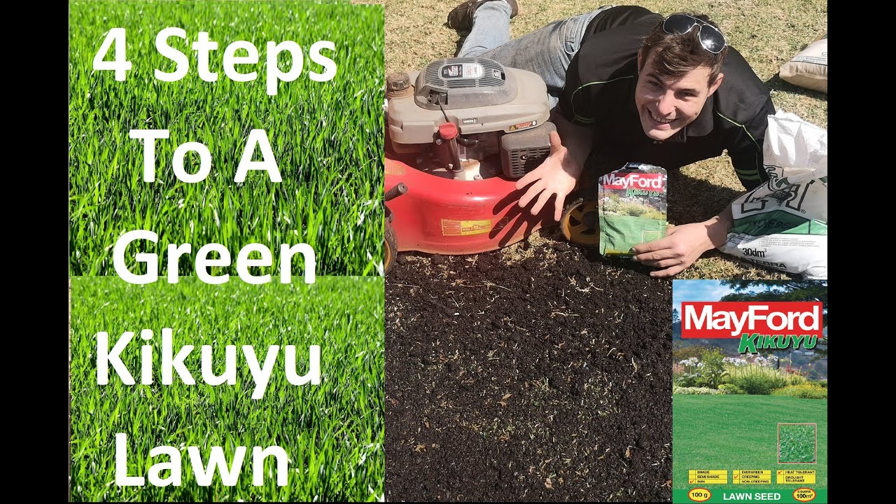 How to scarify, top dress, and overseed a Kikuyu lawn. 4 steps to a