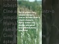 Alexandra Araa (Gândurile lui Simi) - Iubita mea hoață #IubireDureroasa#InimaFranta#DorDeTine
