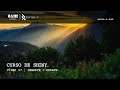 Curso de Shiny | Vídeo 37 | observe + update