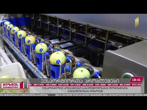 ექსპორტიორი კომპანიები სახელმწიფოსგან ლოგისტიკის სუბსიდირებას ითხოვენ