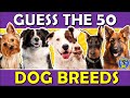 Dog Breeds Recognition Quiz