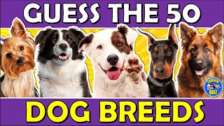 Guess the "DOG BREED" QUIZ! 🐶 Challenge/Trivia/Test screenshot 4