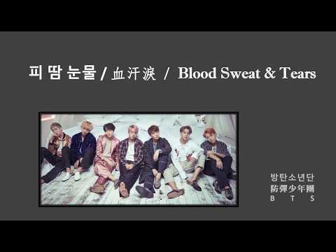 [歌詞/認聲/中字] BTS - 血汗淚 Blood Sweat & Tears lyrics [韓中英/Kor Eng Chinese]