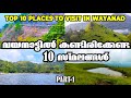 Top 10 places to visit in wayanad  wayanad travel guide  wayanad tourist places  best in wayanad