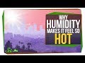 Why Does Humidity Make It Feel Hotter?