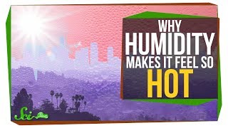 Why Does Humidity Make It Feel Hotter?