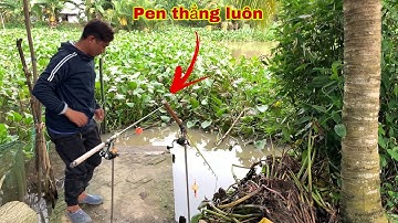 Câu Cá Tra Sông | Tự Trộn Mồi Tào Lao Mà Cá Ăn Pen Vài Luôn | Fishing - Miền Tây