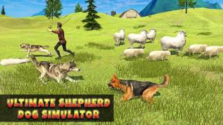 Real Shepherd Dog Simulator screenshot 5