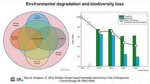 Lecture 4: Indicators