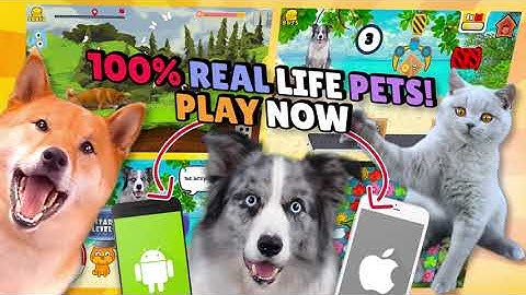 Real Life Pets in your Phone? YES Fruwee Pets Play now!