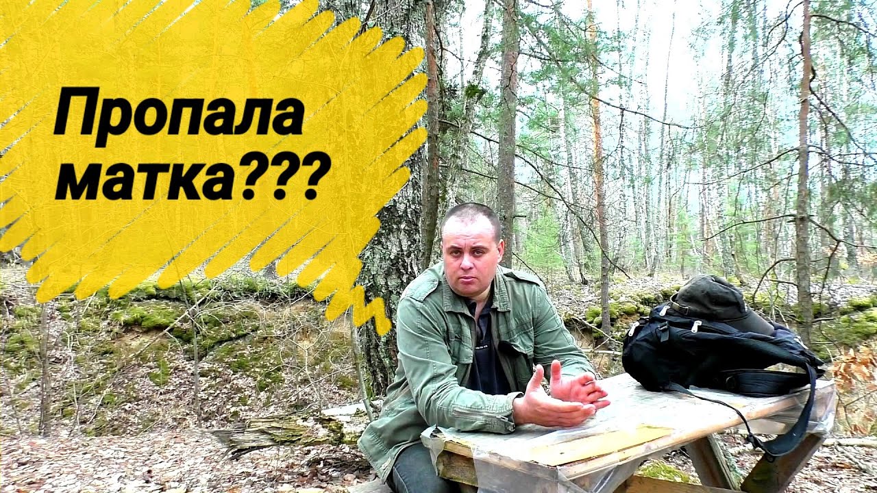 Что делать если пропала матка и нет расплода? Всё элементарно просто! Решение с трутовкой тоже есть