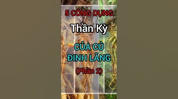 5 Công Dụng Thần Kỳ Của Củ Đinh Lăng (Phần 2) #dinhduong #health #suckhoe