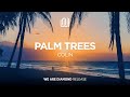COLIN - Palm Trees
