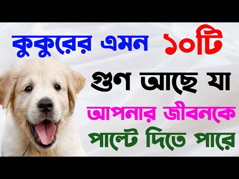 কুকুরের ১০ টি গুণ। যা আপনার জীবনকে পাল্টে দেবে। আপনি অনেক অবাক হবেন। রাহনুমা মিডিয়া, rahnuma media