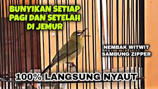 Pancingan Pleci  Ngalas Nembak Witwit Sambung Zipper 