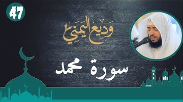 الشيخ وديع اليمني - سورة محمد (النسخة الأصلية) | (Surat Muhammad (Official Audio