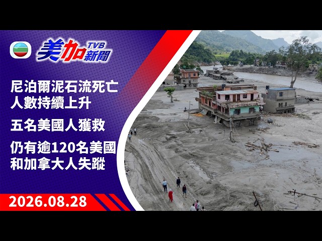 美加新闻