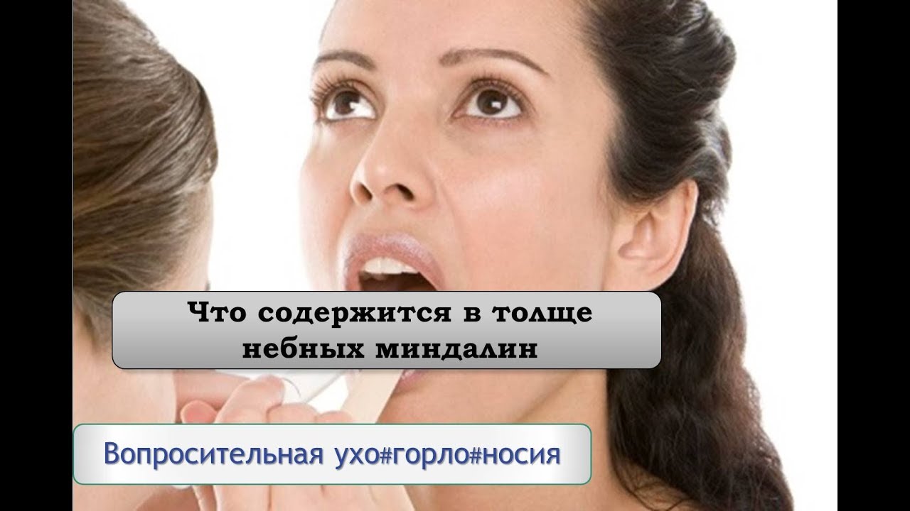 Анализ на функцию небных миндалин